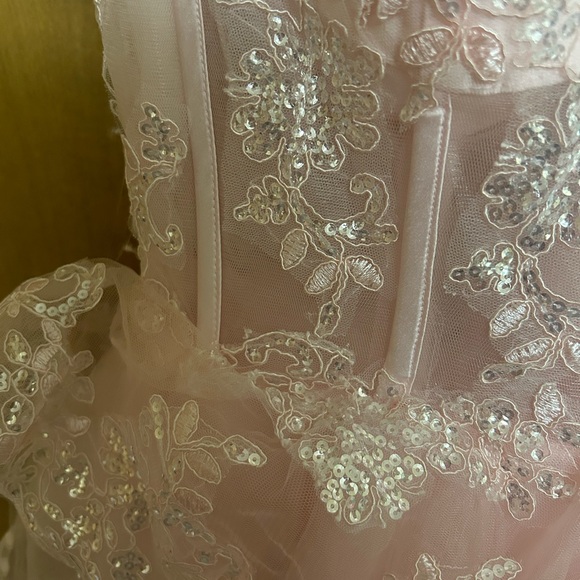 Pink Corset Lace Dress - Picture 2 of 5